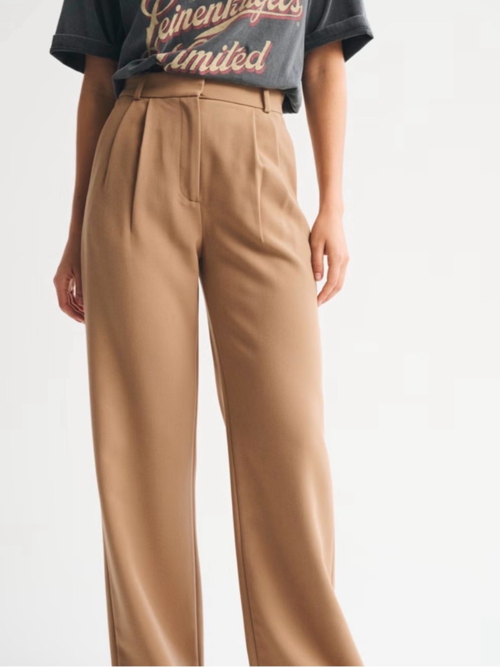 Abercrombie & fitch tailored pants size 31/12